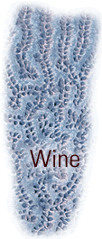 wine notes 񂾃C