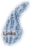 links